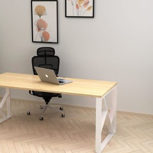 Separo Desk